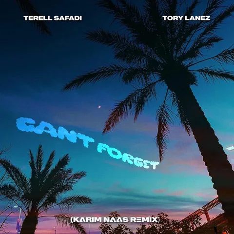 Cover — Can't Forget (Karim Naas Remix) by Terell Safadi & Karim Naas